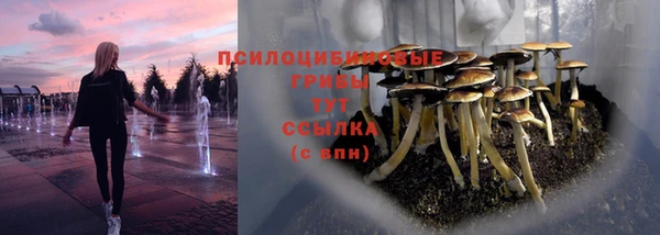 ГАЛЛЮЦИНОГЕННЫЕ ГРИБЫ Арсеньев