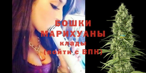 ГАЛЛЮЦИНОГЕННЫЕ ГРИБЫ Арсеньев