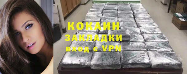 ГАЛЛЮЦИНОГЕННЫЕ ГРИБЫ Арсеньев